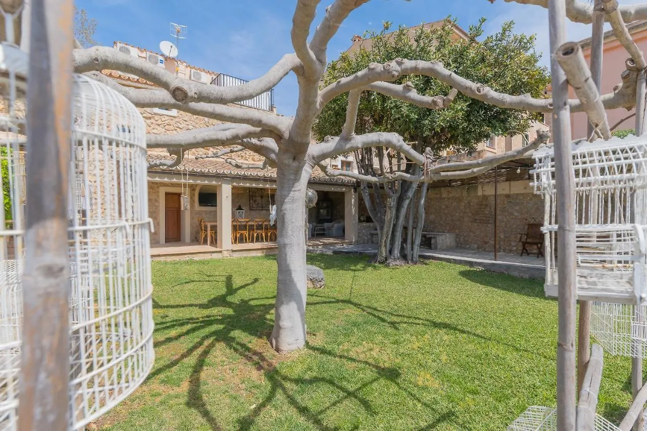 Pintor - Rustic Mallorquin Town House 3 Bedrooms And Pool In Caimari
